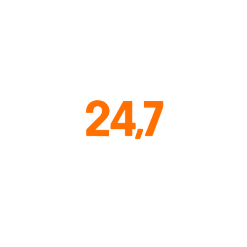 24/7 Support