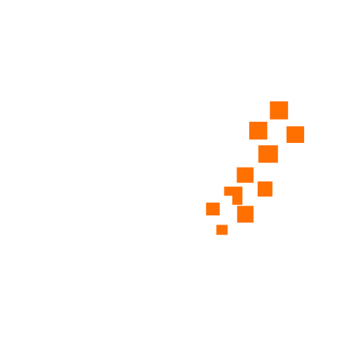 Top Security