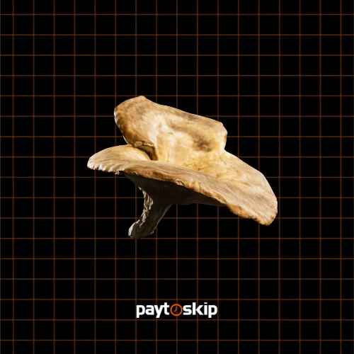 Mushroom